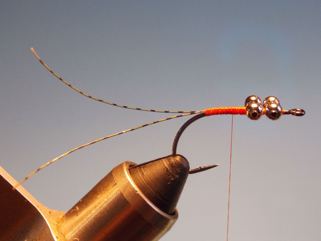 Rubin Martin crab fly 3