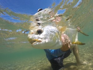 tail fly fishing magazine photo contest - fly fishing magazine