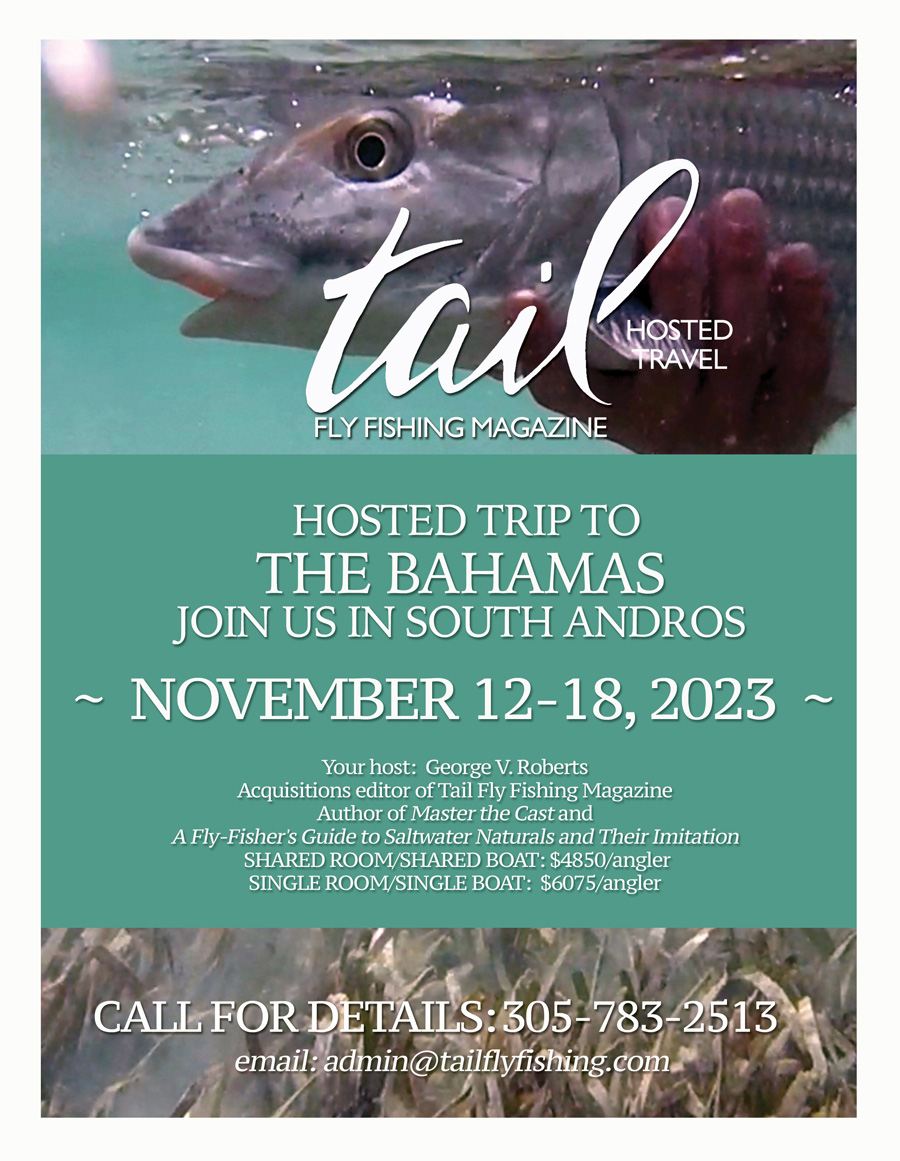 saltwater fly fishing