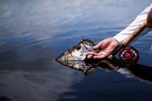 tail fly fishing magazine photo contest - fly fishing magazine