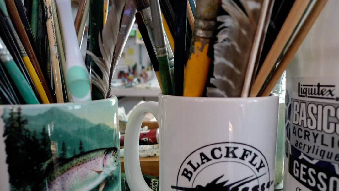 Black-Fly--Vaughn-Cochran-Bahamas and Jacksonville