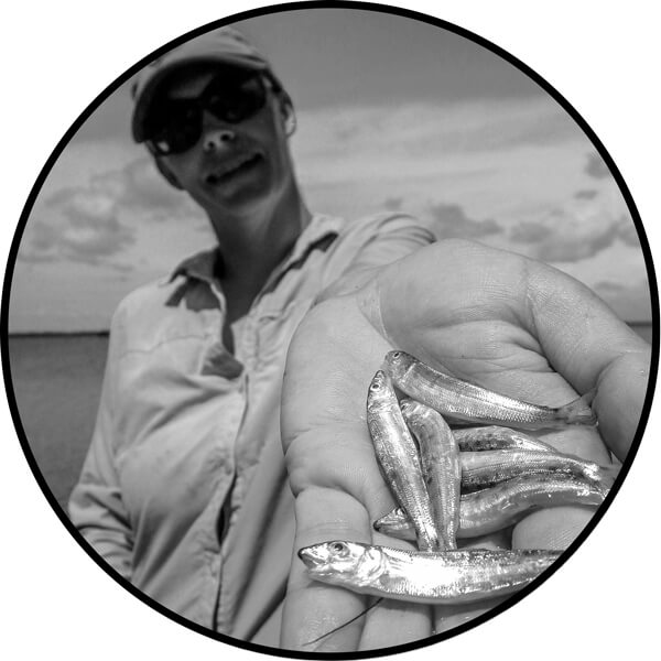 saltwater fly fishing | bonefish