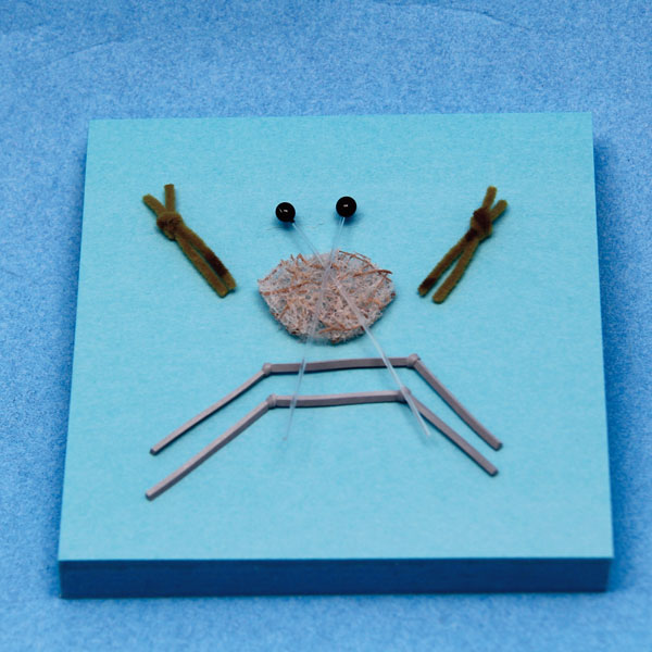 saltwater flies for saltwater fly fishing