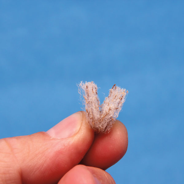 saltwater flies for saltwater fly fishing