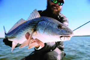 tail fly fishing magazine photo contest - fly fishing magazine