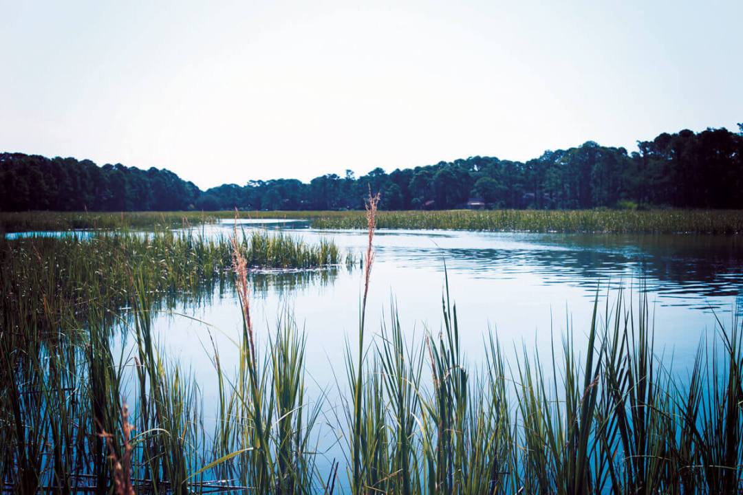 eating-the-lowcoutry---tail-fly-fishing-magazine