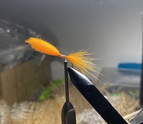 saltwater flies - the evolution shrimp is a fly made for bonefish and permit that uses a shrimp head and epoxy body mimcking the M.O.E (Mother of all epoxy) fly. Esay to tie and swims great. One of the best saltwater patterns for bonefish, permit, redfish and snook.
