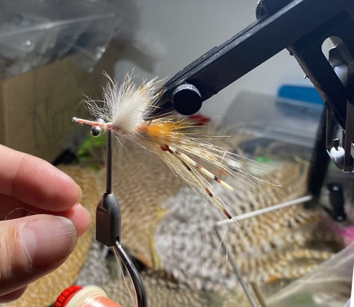 saltwater flies - the evolution shrimp is a fly made for bonefish and permit that uses a shrimp head and epoxy body mimcking the M.O.E (Mother of all epoxy) fly. Esay to tie and swims great. One of the best saltwater patterns for bonefish, permit, redfish and snook.