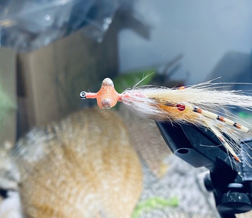 saltwater flies - the evolution shrimp is a fly made for bonefish and permit that uses a shrimp head and epoxy body mimcking the M.O.E (Mother of all epoxy) fly. Esay to tie and swims great. One of the best saltwater patterns for bonefish, permit, redfish and snook.