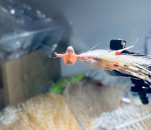 saltwater flies - the evolution shrimp is a fly made for bonefish and permit that uses a shrimp head and epoxy body mimcking the M.O.E (Mother of all epoxy) fly. Esay to tie and swims great. One of the best saltwater patterns for bonefish, permit, redfish and snook.