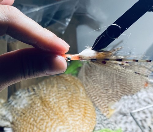 saltwater flies - the evolution shrimp is a fly made for bonefish and permit that uses a shrimp head and epoxy body mimcking the M.O.E (Mother of all epoxy) fly. Esay to tie and swims great. One of the best saltwater patterns for bonefish, permit, redfish and snook.