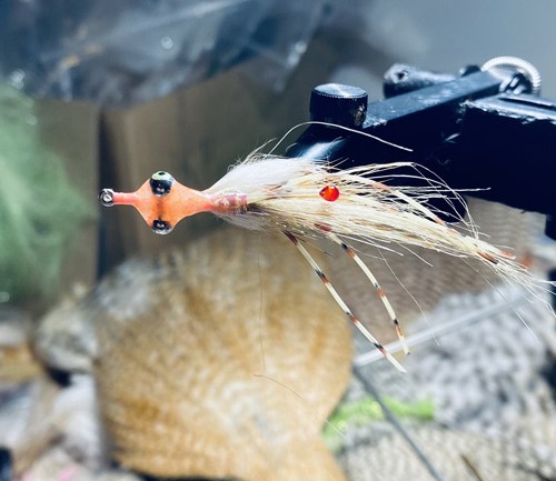 saltwater flies - the evolution shrimp is a fly made for bonefish and permit that uses a shrimp head and epoxy body mimcking the M.O.E (Mother of all epoxy) fly. Esay to tie and swims great. One of the best saltwater patterns for bonefish, permit, redfish and snook.