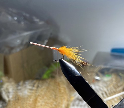 saltwater flies - the evolution shrimp is a fly made for bonefish and permit that uses a shrimp head and epoxy body mimcking the M.O.E (Mother of all epoxy) fly. Esay to tie and swims great. One of the best saltwater patterns for bonefish, permit, redfish and snook.