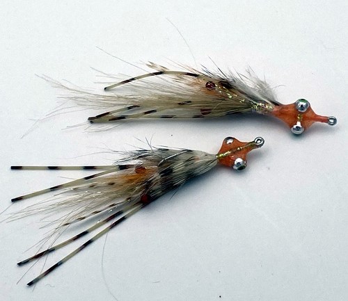 saltwater flies - the evolution shrimp is a fly made for bonefish and permit that uses a shrimp head and epoxy body mimcking the M.O.E (Mother of all epoxy) fly. Esay to tie and swims great. One of the best saltwater patterns for bonefish, permit, redfish and snook.