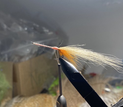 saltwater flies - the evolution shrimp is a fly made for bonefish and permit that uses a shrimp head and epoxy body mimcking the M.O.E (Mother of all epoxy) fly. Esay to tie and swims great. One of the best saltwater patterns for bonefish, permit, redfish and snook.