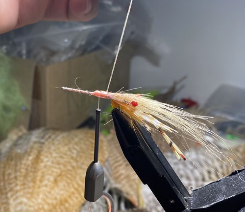 saltwater flies - the evolution shrimp is a fly made for bonefish and permit that uses a shrimp head and epoxy body mimcking the M.O.E (Mother of all epoxy) fly. Esay to tie and swims great. One of the best saltwater patterns for bonefish, permit, redfish and snook.
