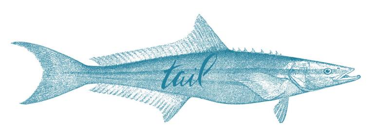 fly fishing magazine - saltwater fly fishing