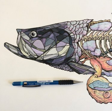 fly fishing magazine - fly fishing art- - saltwater fly fishing