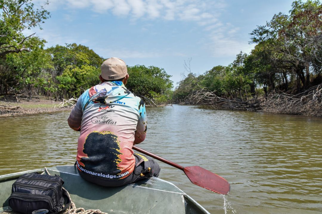 fly fishing magazine - peacock bass and payara in colombia