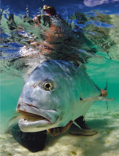 saltwater fly fishing magazine - fly fishing magazine - best fly fishing magazine