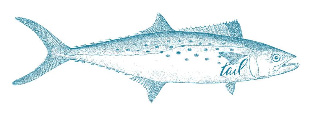 saltwater fly fishing magazine