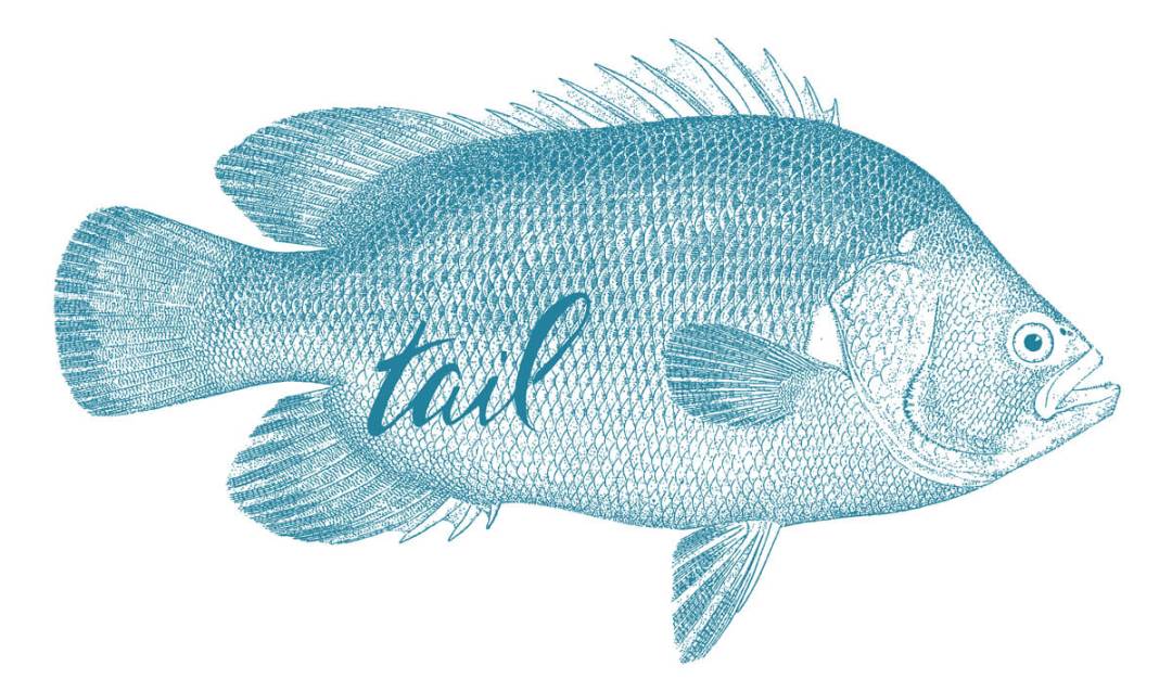 saltwater fly fishing magazine