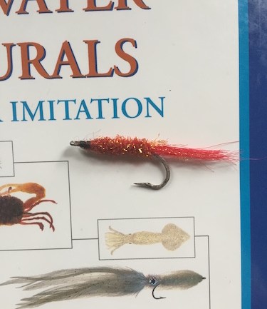 saltwater fly fishing - worms