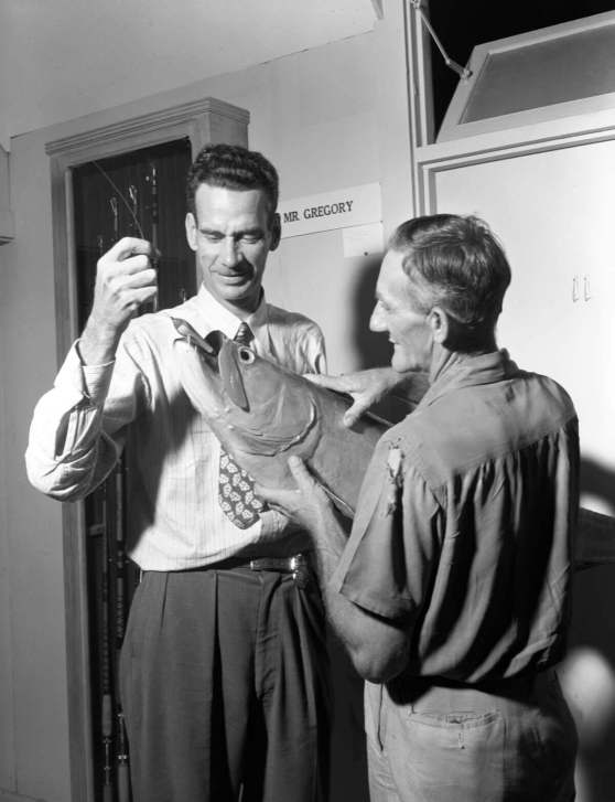 History of saltwater fly fishing - Homer Rhode Jr - Tail Fly Fishing Magazine