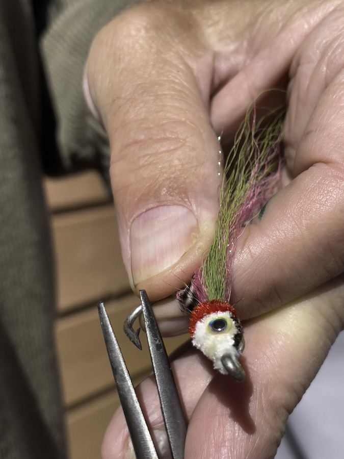 removing fish hooks from anglers