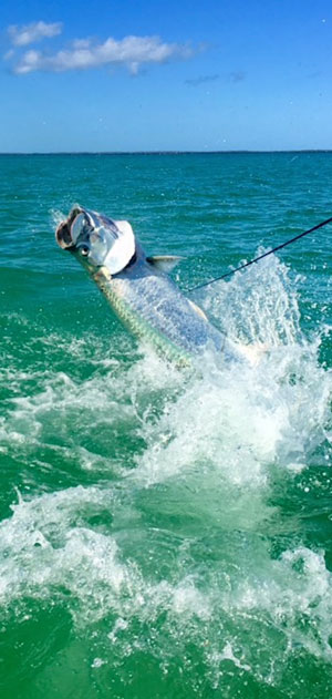 fly fishing magazine