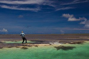 Giant trevally on the fly - GT on the fly