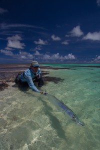 Giant trevally on the fly - GT on the fly