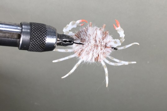 Tying a Dangermuffin Crab The permit curse had haunted me for more than a decade, and all I had to show for it was a pile of shots and memories of a mid 30-pounder that I lost after a 40-minute battle.