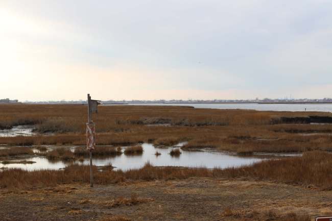 TAIL FLY FISHING MAGAZINE