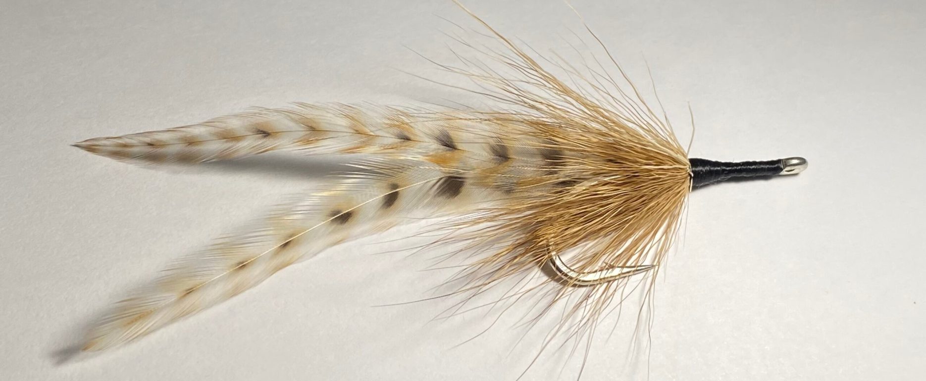 Norman Duncan - Tarpon Roach