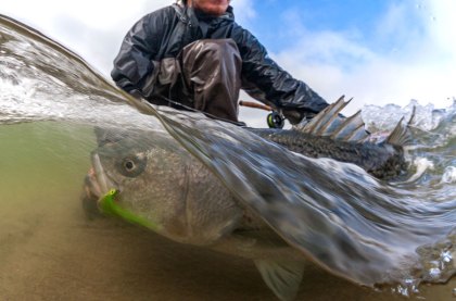 Inshore fishing | Saltwater fly fishing