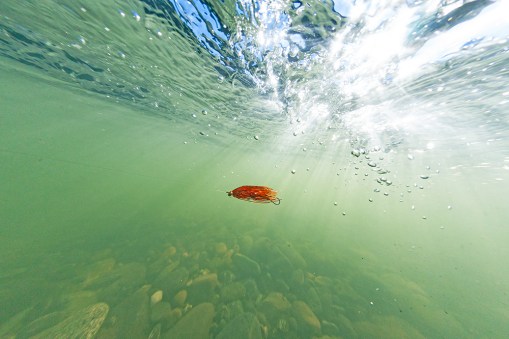 Steel Mining in the Mist Steelhead Fly Fishing at it's Best