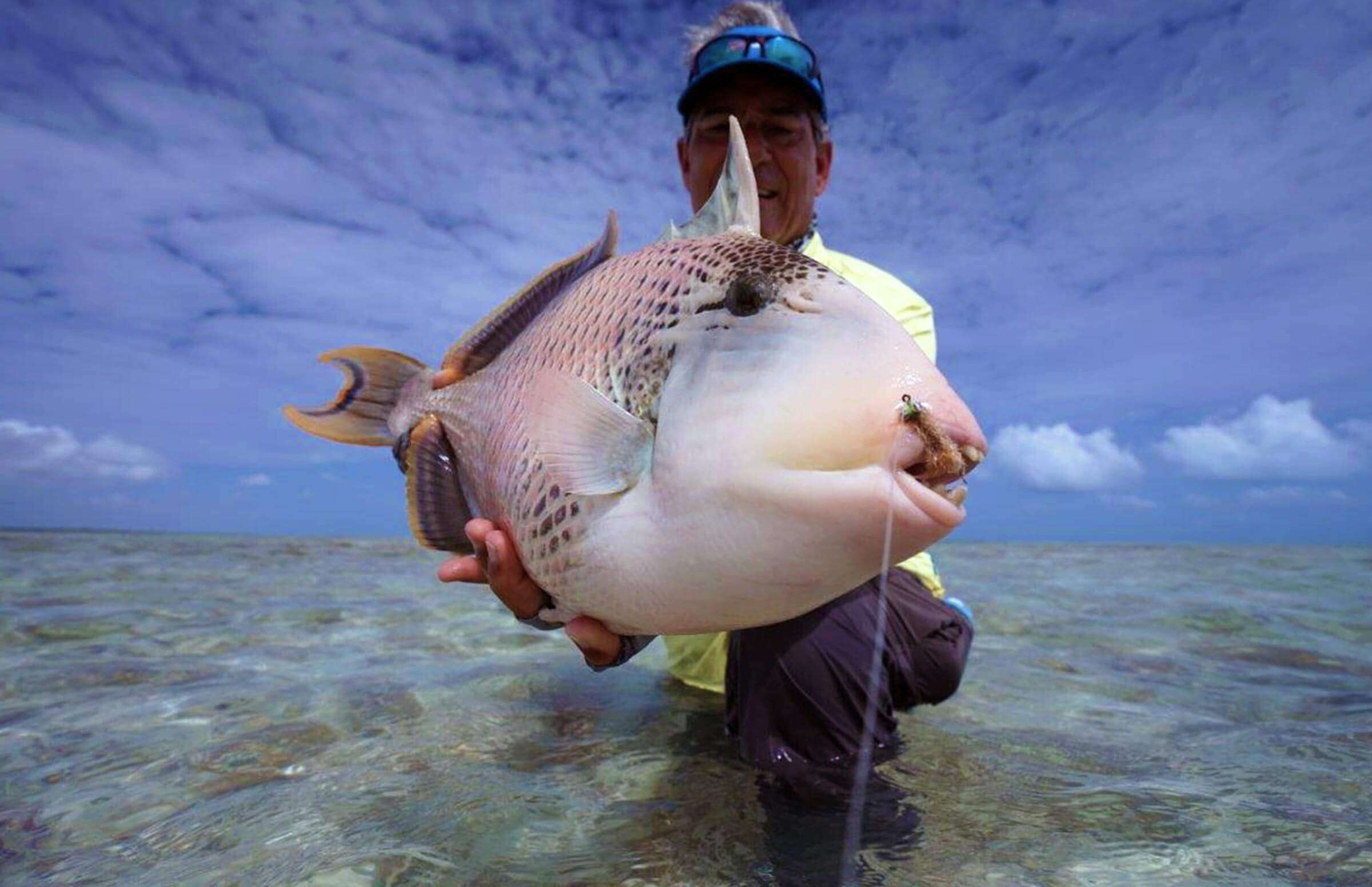 fly fishing magazine - tail fly fishing magazine is the voice of saltwater fly fishing