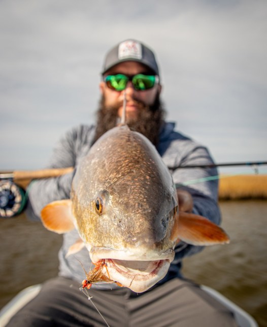 redfish on the fly
