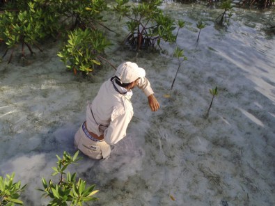 fly fishing magazine - permit on the fly