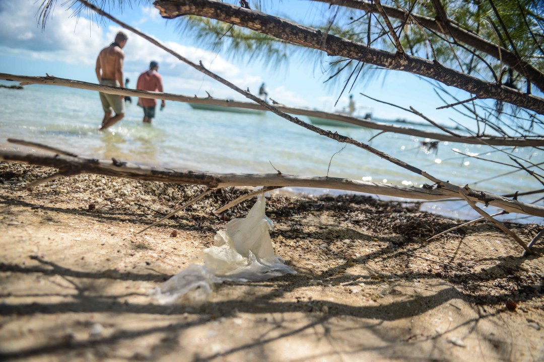 TAIL FLY FISHING MAGAZINE