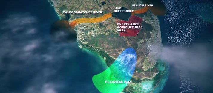 everglades - tail fly fishing magazine - now or neverglades - the balance