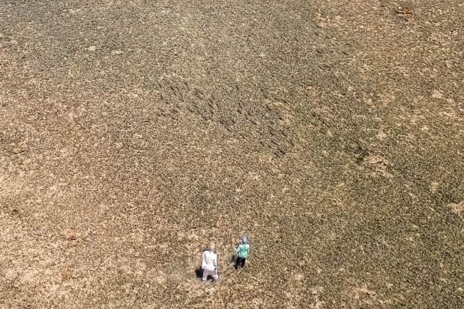 saltwater fly fishing - the Next Generation - Tail Fly Fishing Magazine