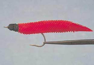 saltwater fly fishing - worms