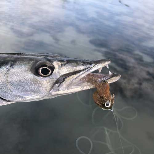 saltwater fly fishing