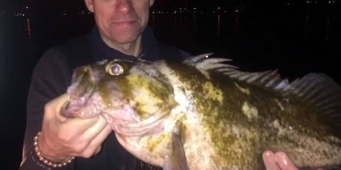 saltwater fly fishing - a fish my age