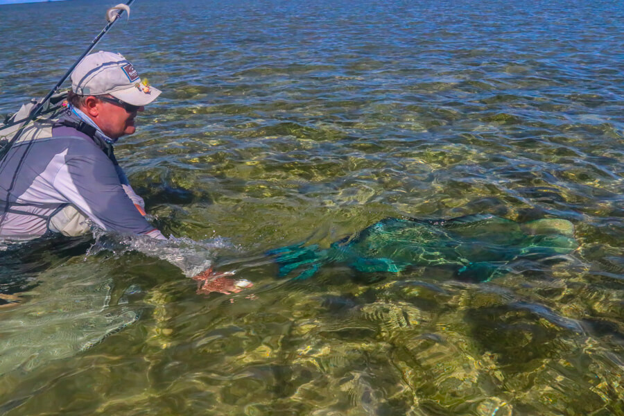 fly fishing magazine