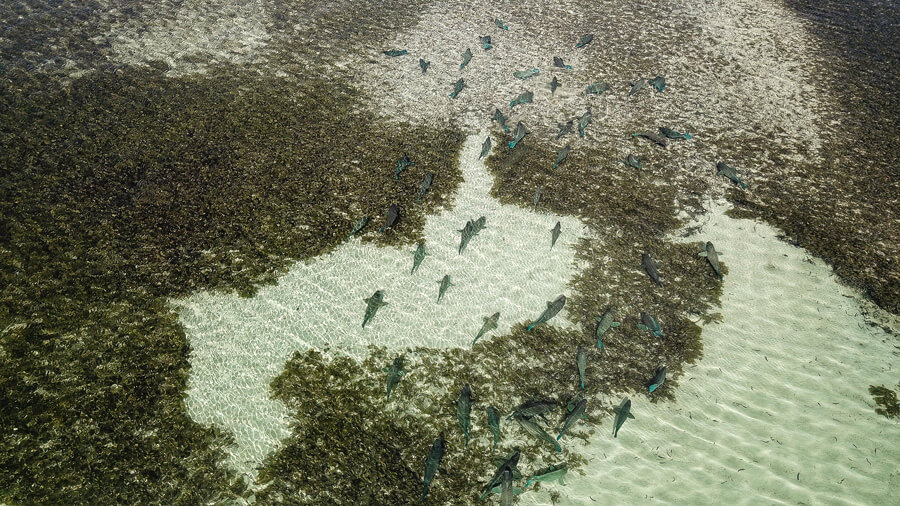 fly fishing magazine