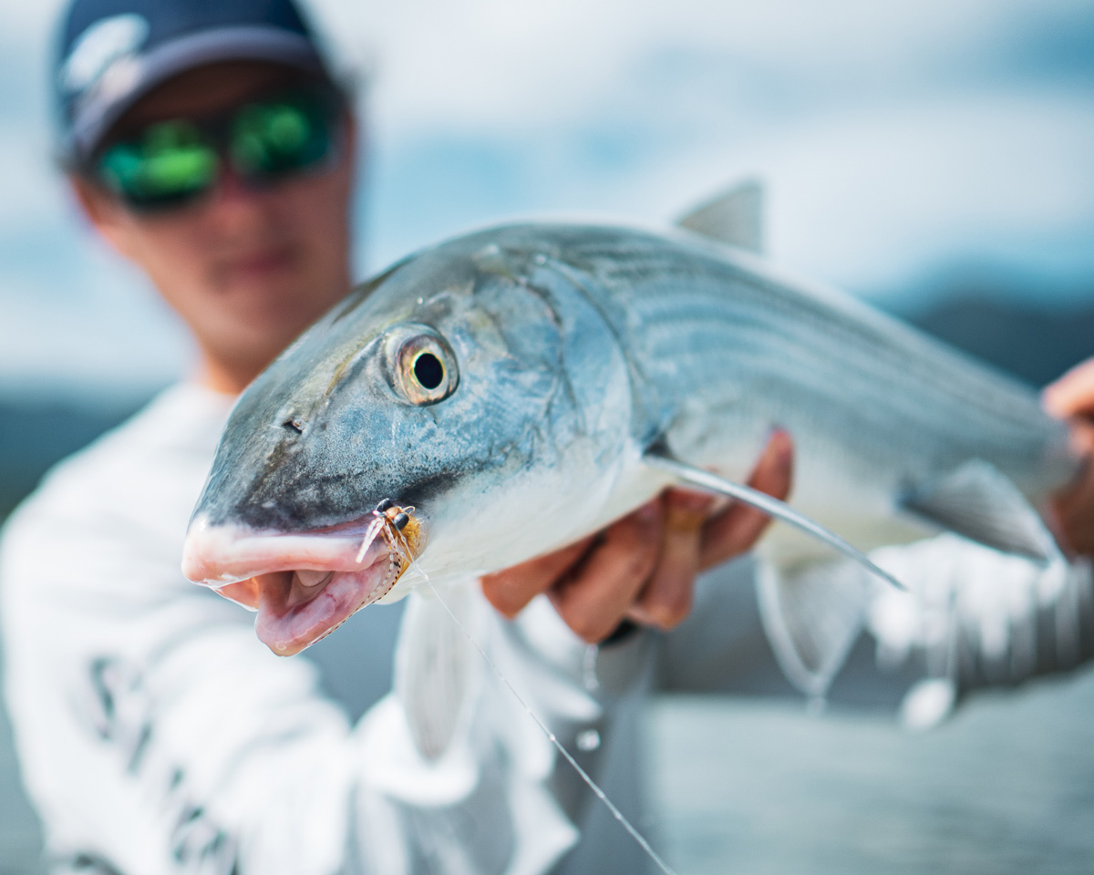 Al Q’s Bonefish Trainer