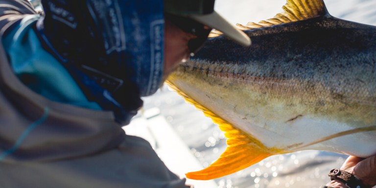 saltwater fly fishing for jack crevalle